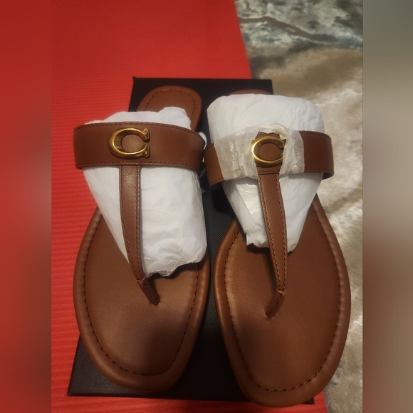 Coach Shoes - NWT Coach Women's Jessie Sigbkl Lrt